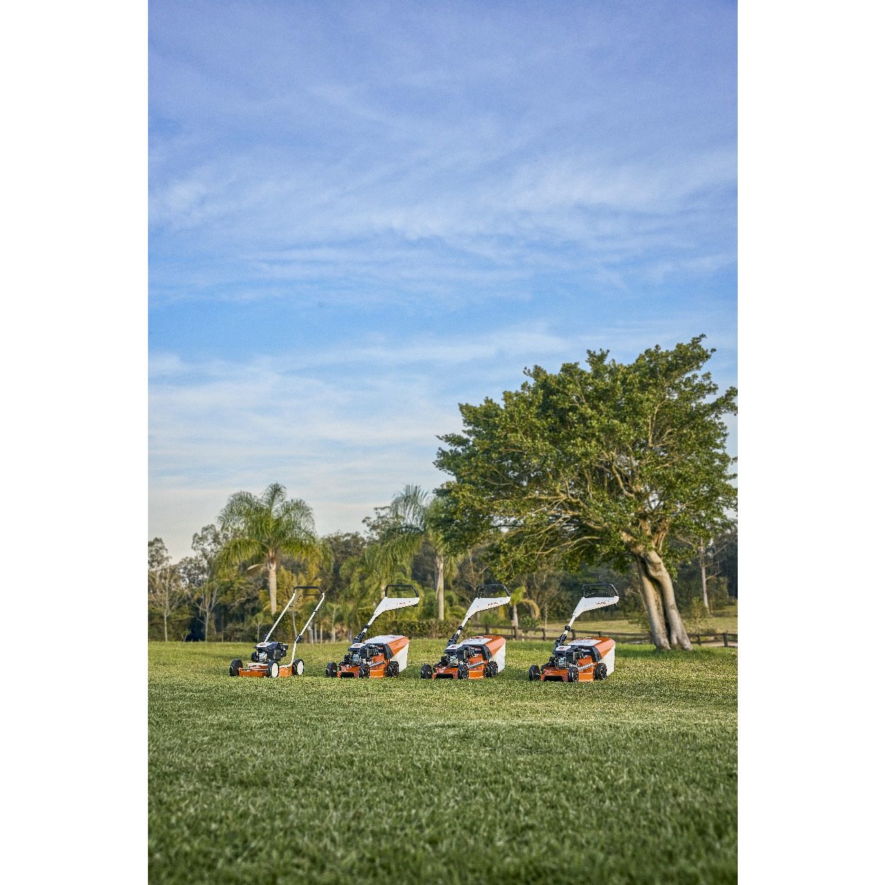 CORTADOR DE GRAMA S/ COLETOR RM 253,3 STIHL WB22-011-3420 - Imagem 4